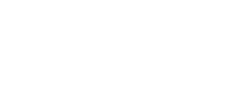 PVS Logo
